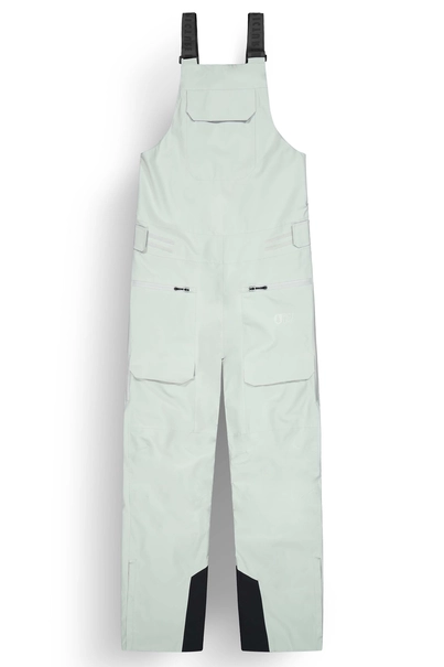 PICTURE U62 BIB PANTS
