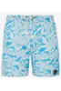 PROTEST COLNEY JR BEACHSHORT
