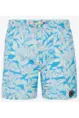 PROTEST COLNEY JR BEACHSHORT