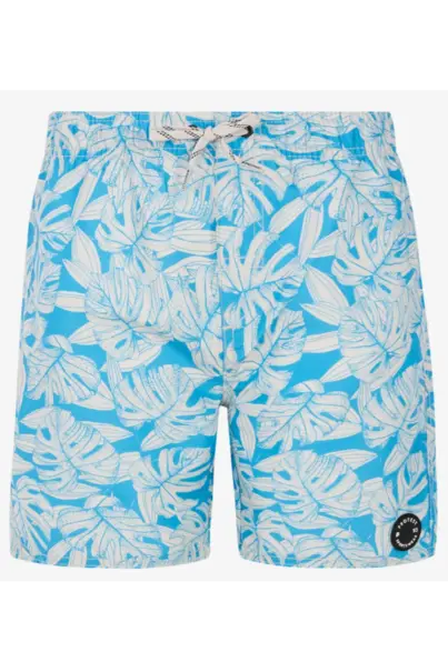 PROTEST COLNEY JR BEACHSHORT