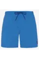PROTEST FASTER BEACHSHORT