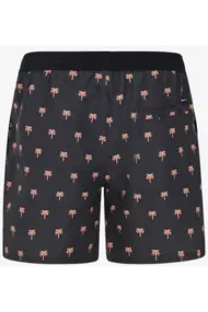 PROTEST PARCO BEACHSHORT