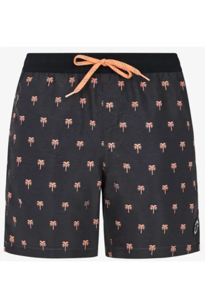 PROTEST PARCO BEACHSHORT