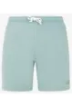 PROTEST TEDOR SHORTS