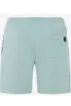 PROTEST TEDOR SHORTS