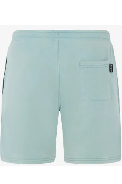 PROTEST TEDOR SHORTS