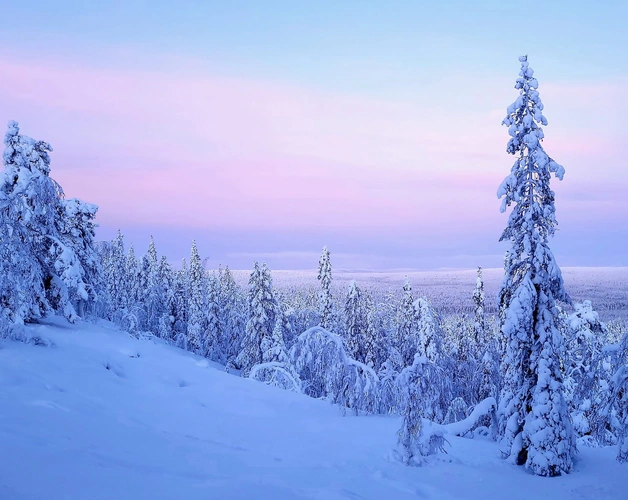 Reis naar Lapland