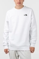 THE NORTH FACE M RAGLAN REDBOX CREW