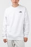 THE NORTH FACE M RAGLAN REDBOX CREW