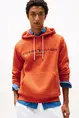 TOMMY HILFIGER LOGO HOODY