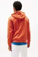 TOMMY HILFIGER LOGO HOODY