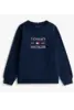 TOMMY HILFIGER TOMMY FLAG HILFIGER